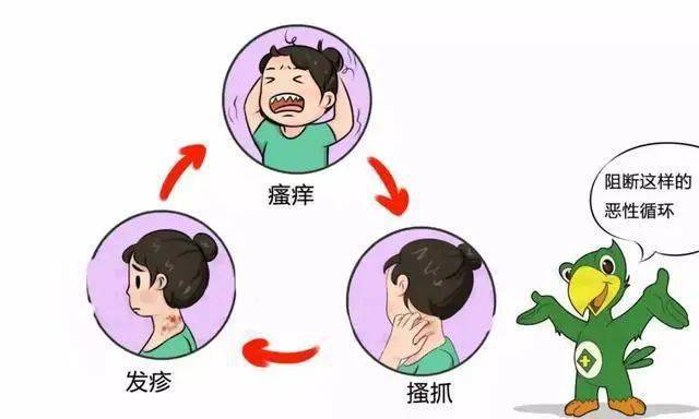 皮肤干痒，越挠越痒的奥秘与应对策略