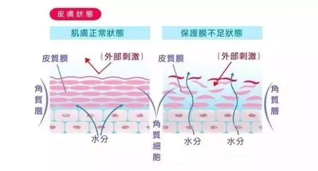 皮肤痒，中医视角下的成因与调治之道