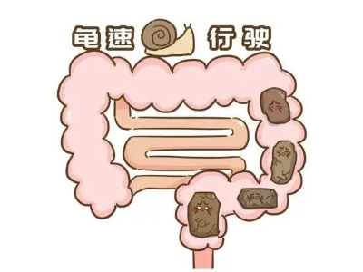 拉肚子肠胃不好，科学调理的全面指南