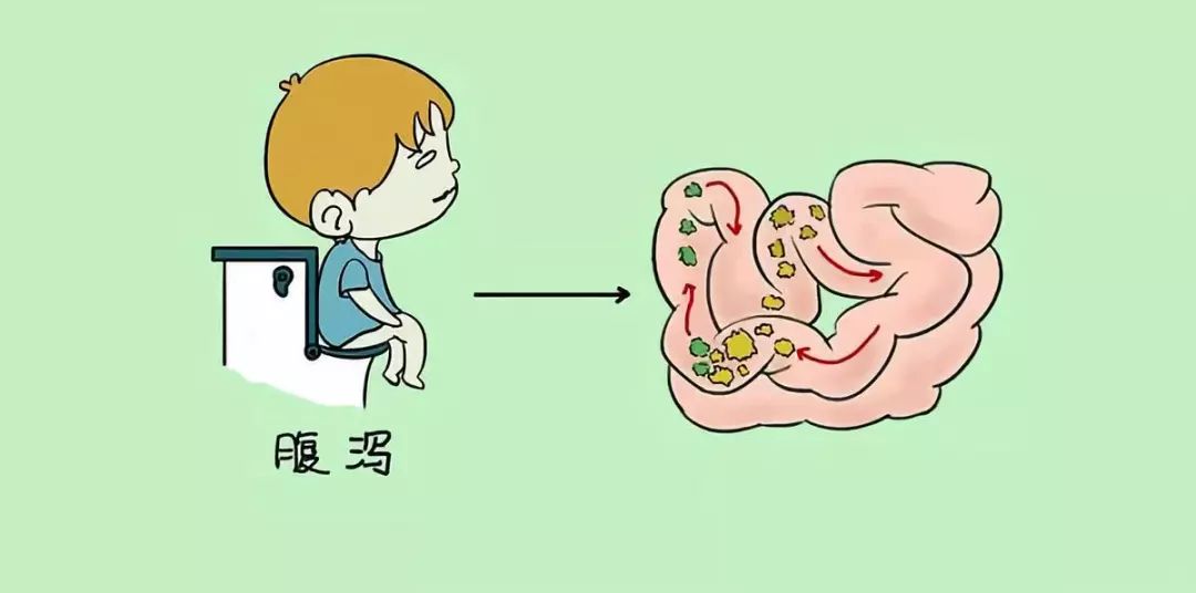 肠胃不好拉肚子的科学调理方法