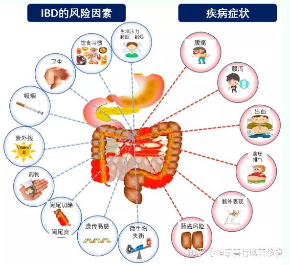 肠胃疾病，认识、预防与治疗