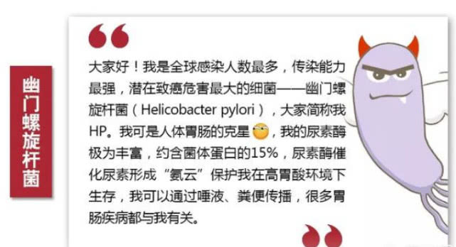 肠胃炎能根治吗？——深入探讨与科学应对策略