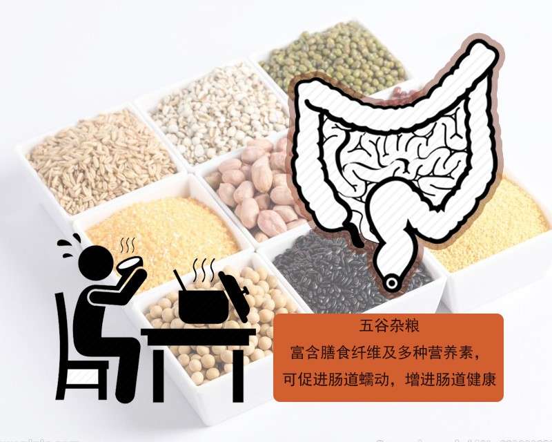 肠胃健康新选择，通过科学食谱与益生菌调理肠胃问题