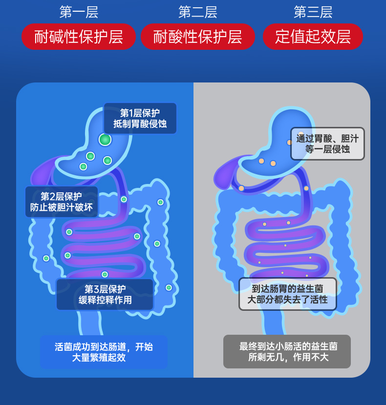 肠胃健康守护者，揭秘哪个牌子的肠胃益生菌更胜一筹