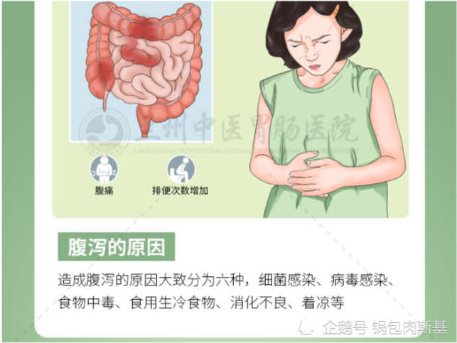 肠胃不好，常拉肚子的调理指南，科学饮食的智慧