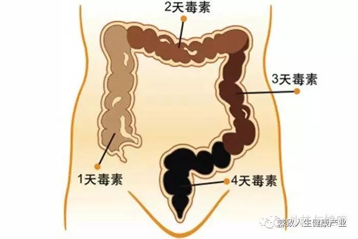 肠胃功能性紊乱的调理与治疗，探索补中益气丸的奥秘