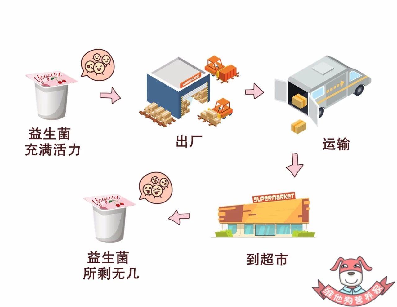 肠胃不适，频繁腹泻，科学调理与就医指南