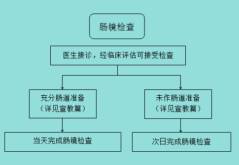 肠胃镜检查流程，从准备到恢复的全面解析