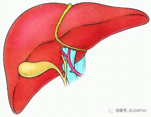 肝脏血管瘤，治疗与消除的全面解析
