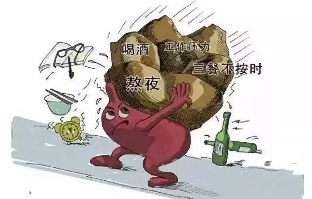 肝脏不好，这6大食物请务必远离