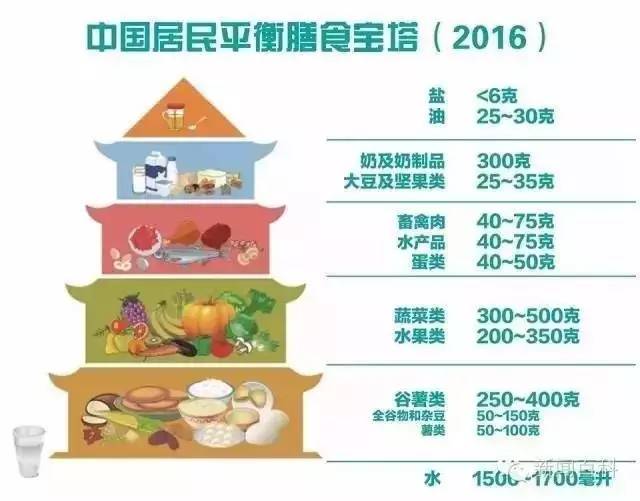 小孩肠胃炎饮食指南，科学选择，守护健康