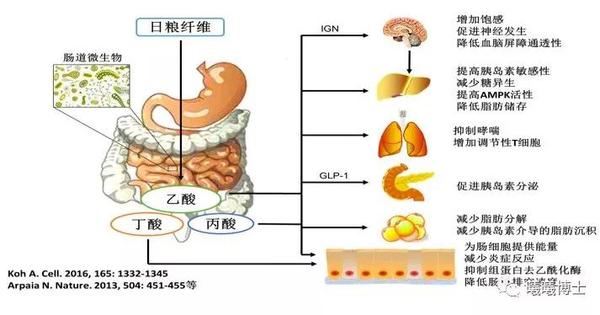 肠胃感冒，症状解析与饮食治疗指南