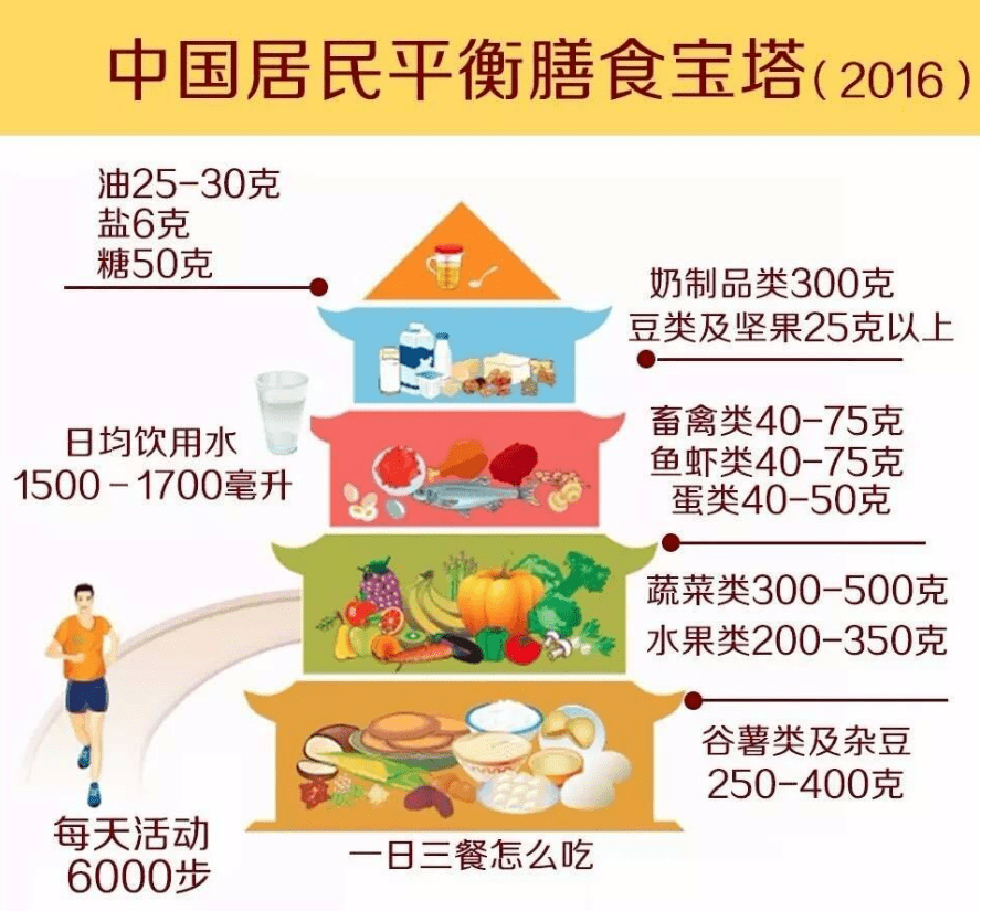 肠胃敏感者的饮食禁忌，科学指南与健康建议