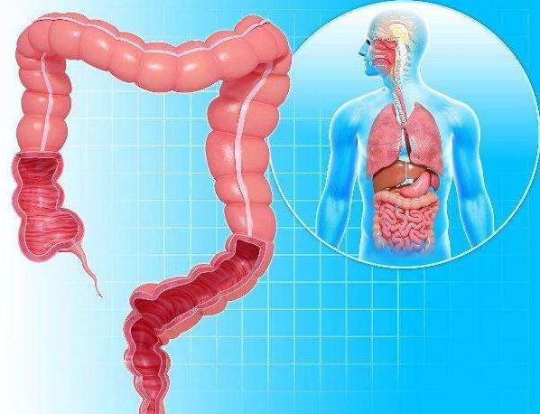 调理肠胃的10个好方法，解决大便不成形的关键