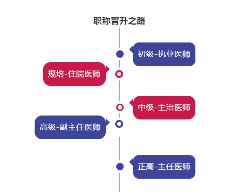 医生职称级别一览表，从医学生到专家的成长之路