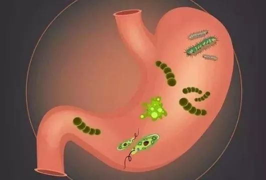 揭秘治疗幽门螺旋杆菌的四联药方案，科学应对，守护胃健康