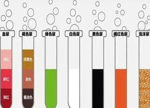 全国十大肾病医院排名，守护肾脏健康的权威之选