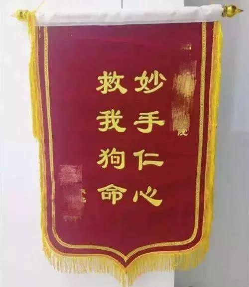 医院锦旗墙，温暖与希望的见证