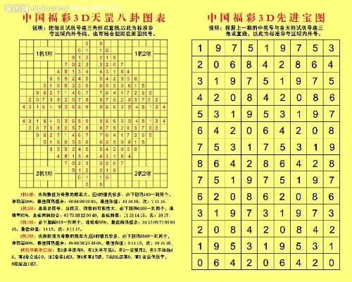 2023年一码一肖100%准确，理性看待彩票与数字预测的误区