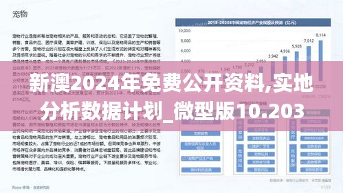 2025新澳免费资料内部玄机，解锁未来商业的秘密武器