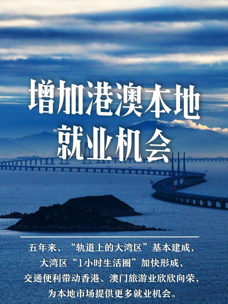 澳门精准一码发财，理性与机遇的交织