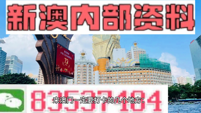 2025新澳免费资料，三头67期深度解析与未来展望