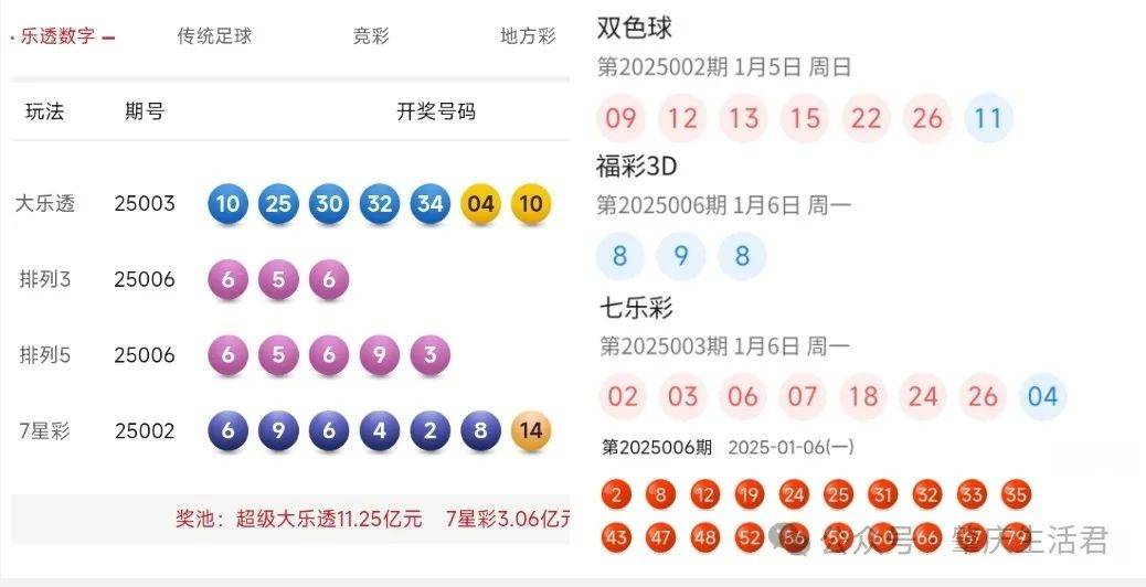 澳门六开奖结果2024开奖记录查询，揭秘澳门彩票的魅力与风险