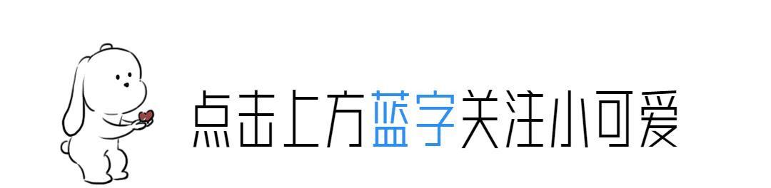 2024香港历史开奖记录65期，回顾与展望