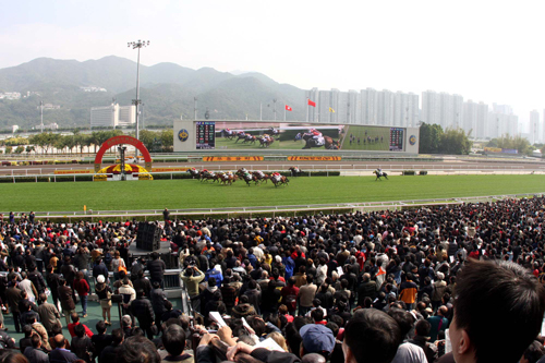 探秘香港马会2019年开奖结果历史记录，一场精彩纷呈的赛马盛宴