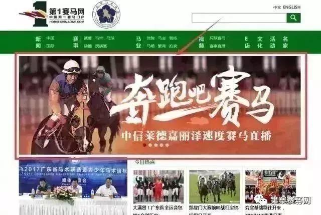 2019香港马会全年资料大全，精彩赛事与辉煌成就的全面回顾