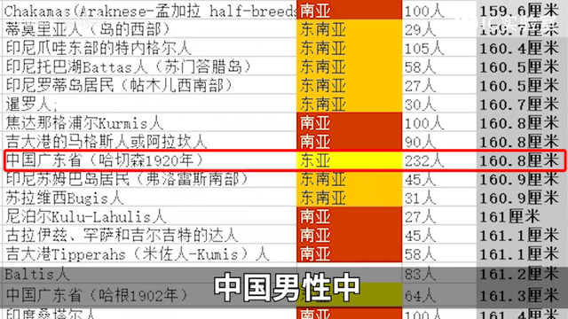 2024年奥马免费资料生肖卡，揭秘新一年的幸运密码