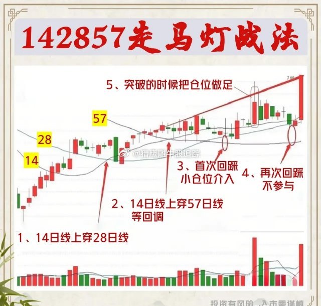 揭秘九龙心水175252马资料，一场数字背后的赌博盛宴