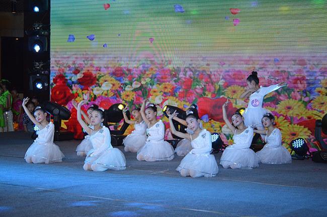 天下彩与香港免费资料，探索香港彩票文化的独特魅力