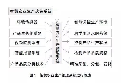 揭秘四六玄机图，古老智慧与现代解读的碰撞