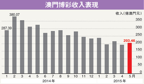 港澳最近开奖记录，透视彩票文化与公众心态