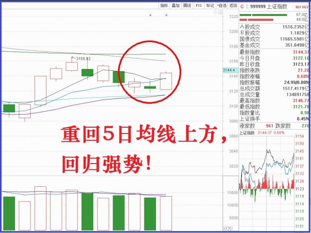 2025年3月2日 第3页