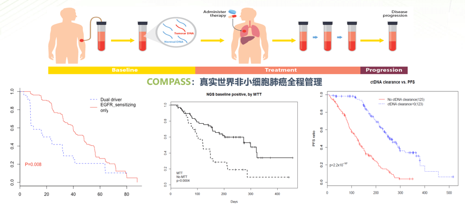 精准预测未来，新澳精准资料——期期精准的奥秘