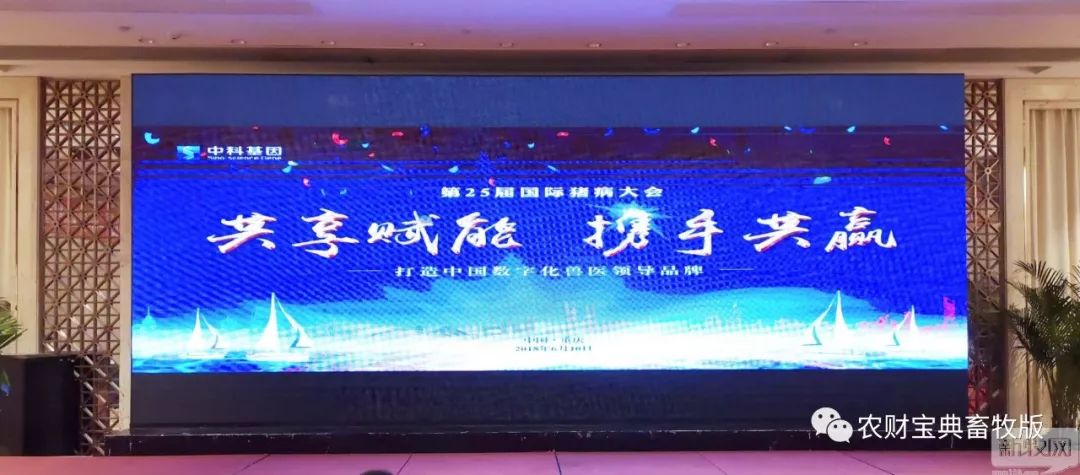 澳门六盒宝典2023年版最新版官方网，揭秘澳门博彩新动向