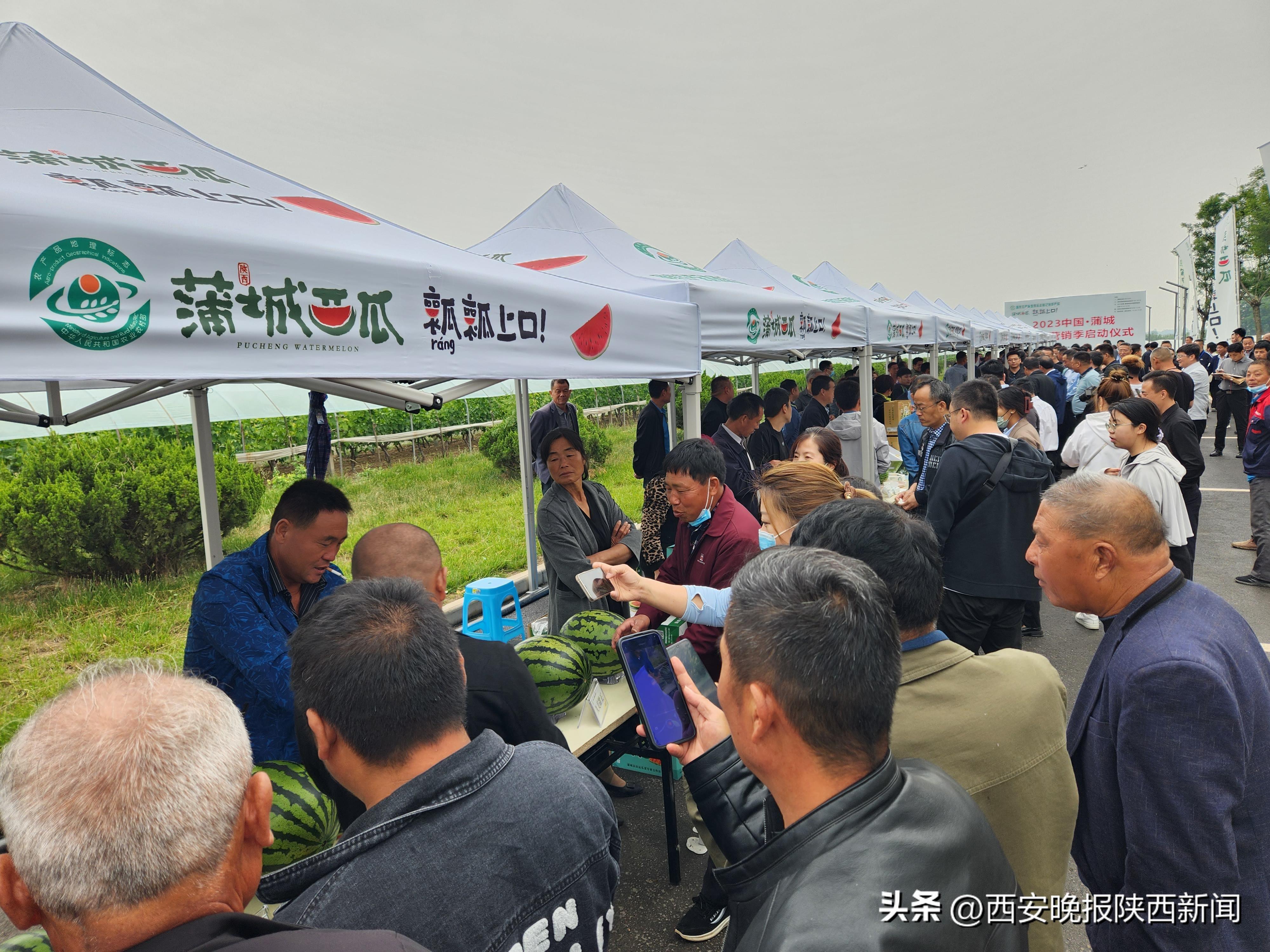 澳门六盒宝典2023年版，图片对比视频大全深度解析
