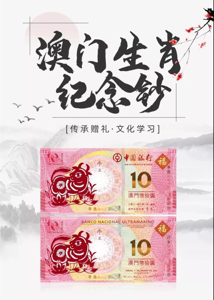 澳门六盒资料生肖卡图片大全，简单又好看的收藏指南
