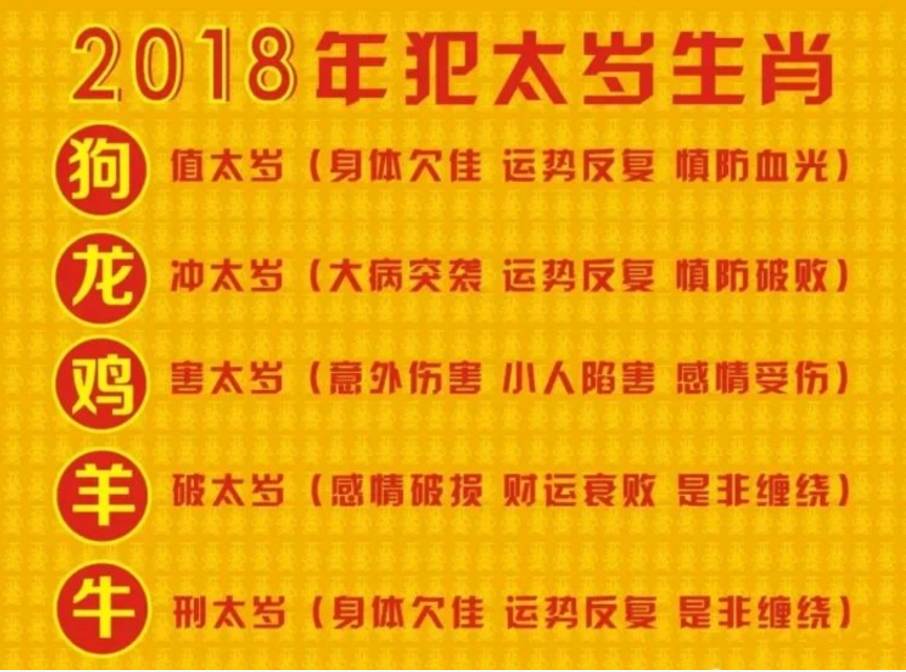 澳门六盒资料生肖卡使用指南，从理论到实践的全面解析