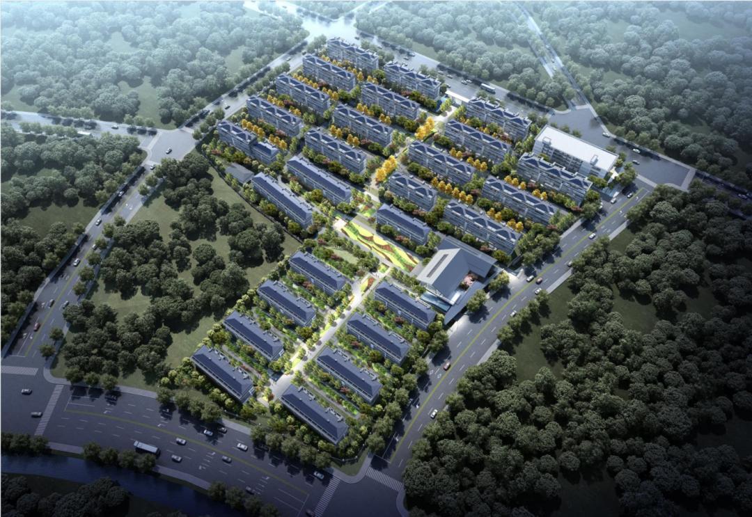 澳门六盒宝典2023开彩结果图片最新版，揭秘与警示