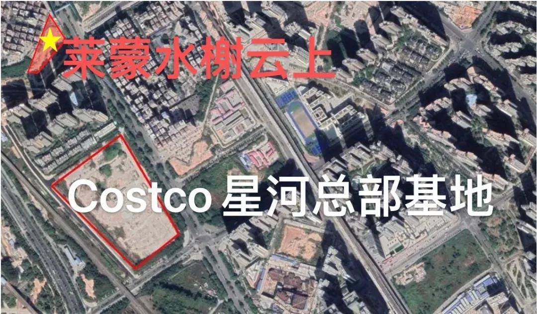 澳门六叔近期动态，最新消息与影响分析