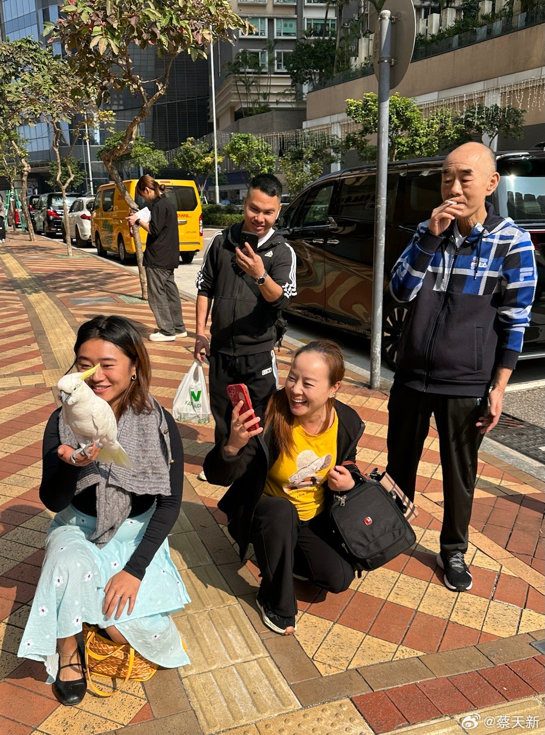 澳门六叔近期新闻事件回顾，视频实录与深度解析