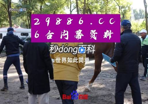 澳门六叔近期新闻视频大全，免费下载与真相揭秘
