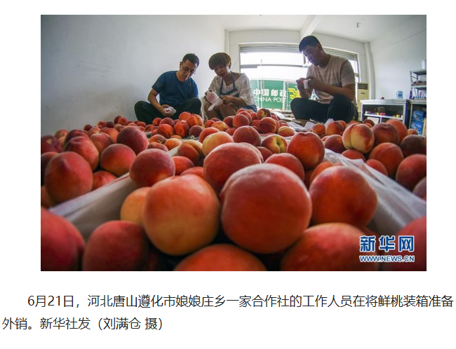 澳门六叔近期动态，热点新闻汇总与最新图片速递