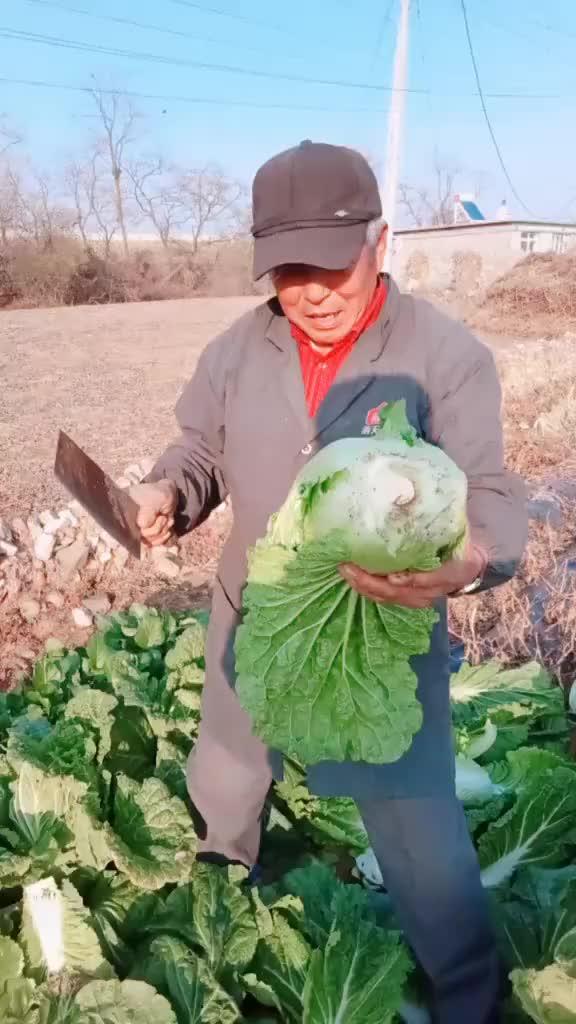 澳门六哥最新动态，揭秘独家视频播放网址与最新消息