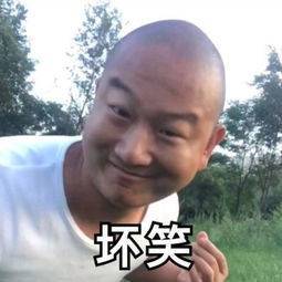 澳门六哥老板的神秘面纱与图片表情包大赏
