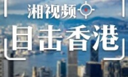 澳门六哥与香港六哥，国语版视频的真相与风险