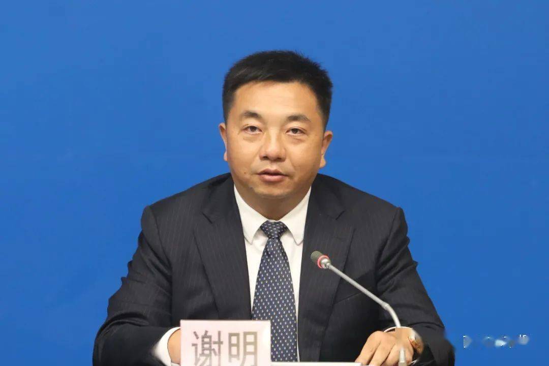 澳门六家牌照级别解析